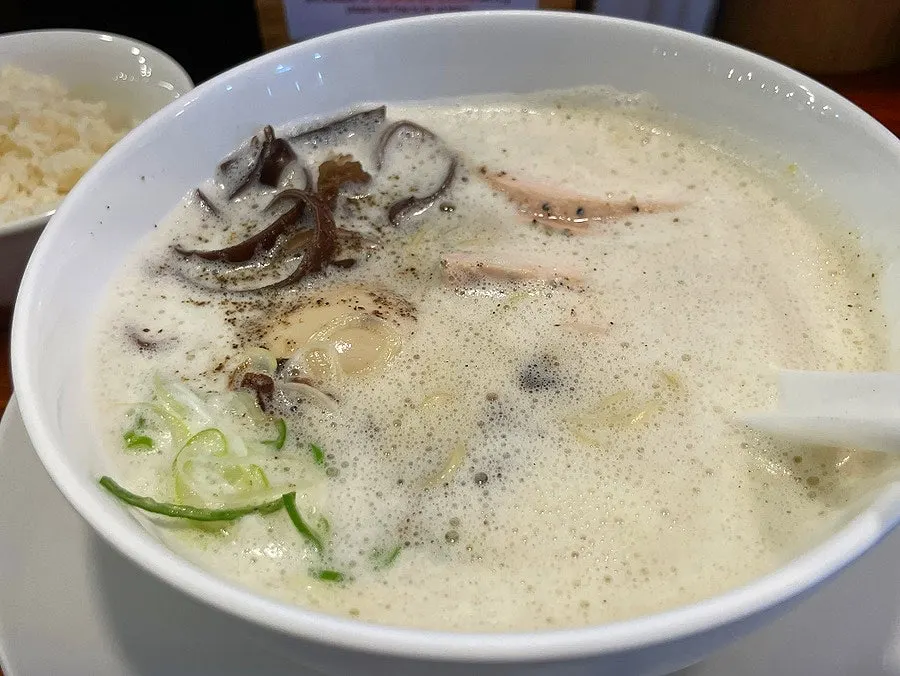 거품이 올라온 토리파이탄 닭육수 국물