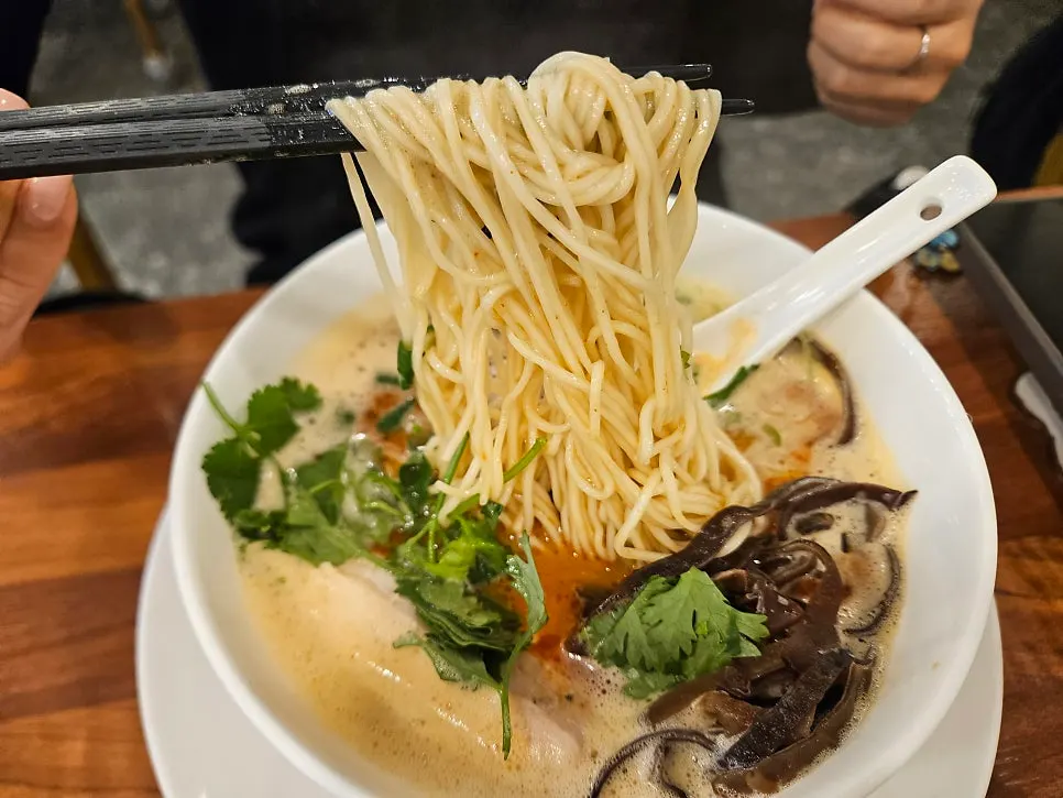 카라빠이탄 라멘 면과 고명