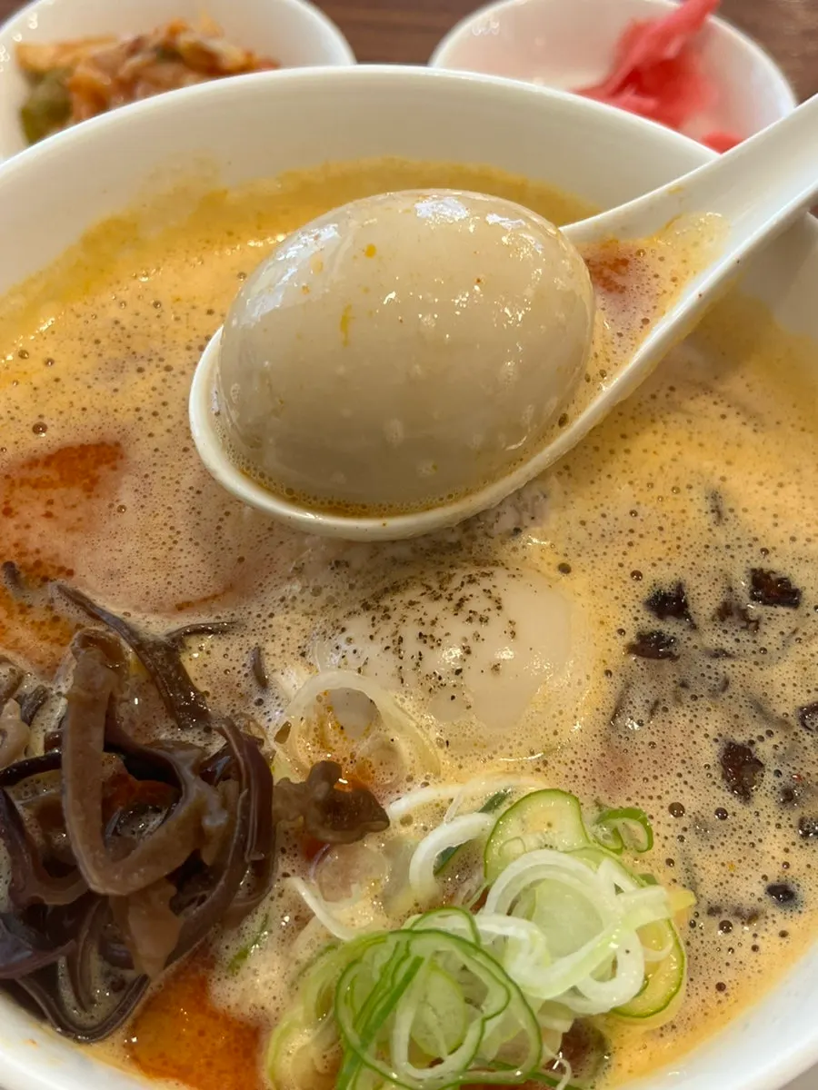 Fried onion topping on the ramen