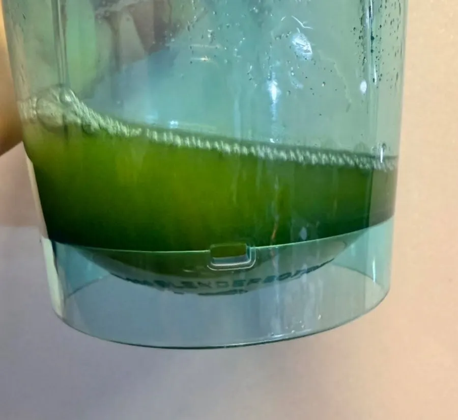 Curly kale powder added to yogurt for breakfast