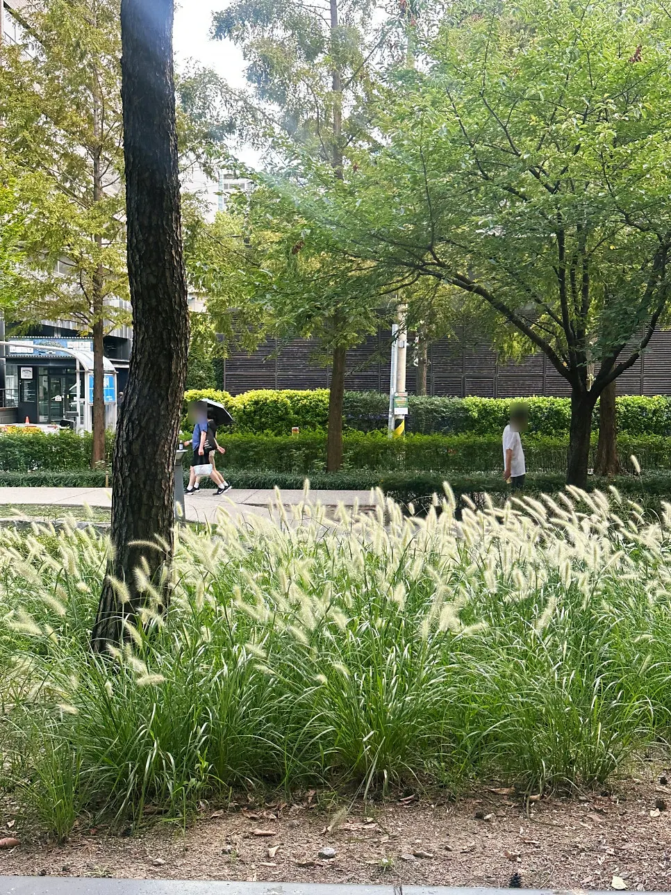 Exterior of Orot Robata in the Gongdeok Park Xi retail complex