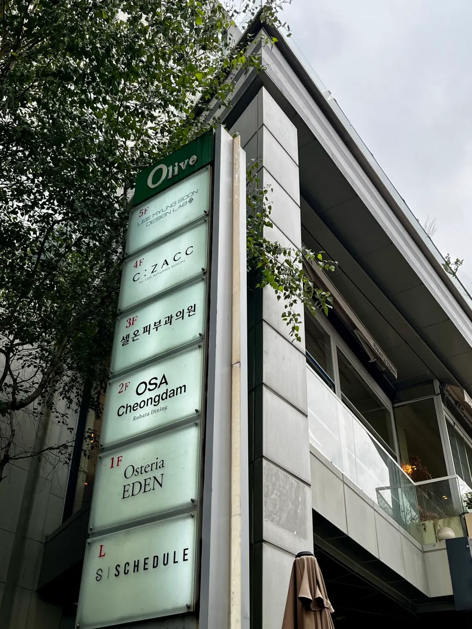 스케줄 청담 건물에 자리한 오사 청담 외관