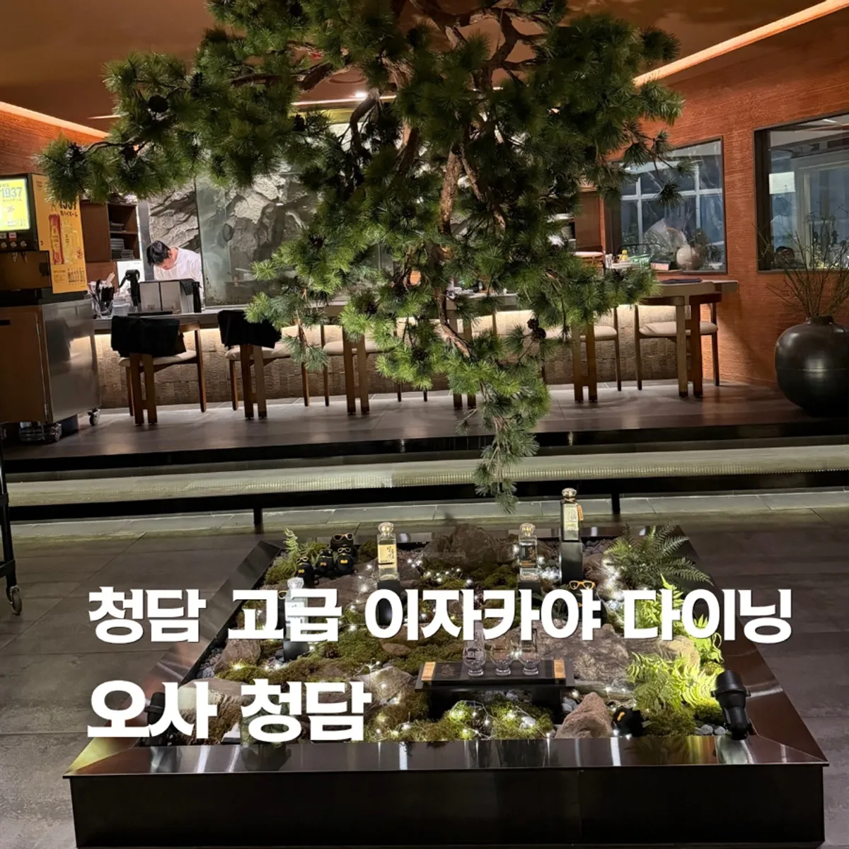 오사 청담 테라스 분위기 대표 사진