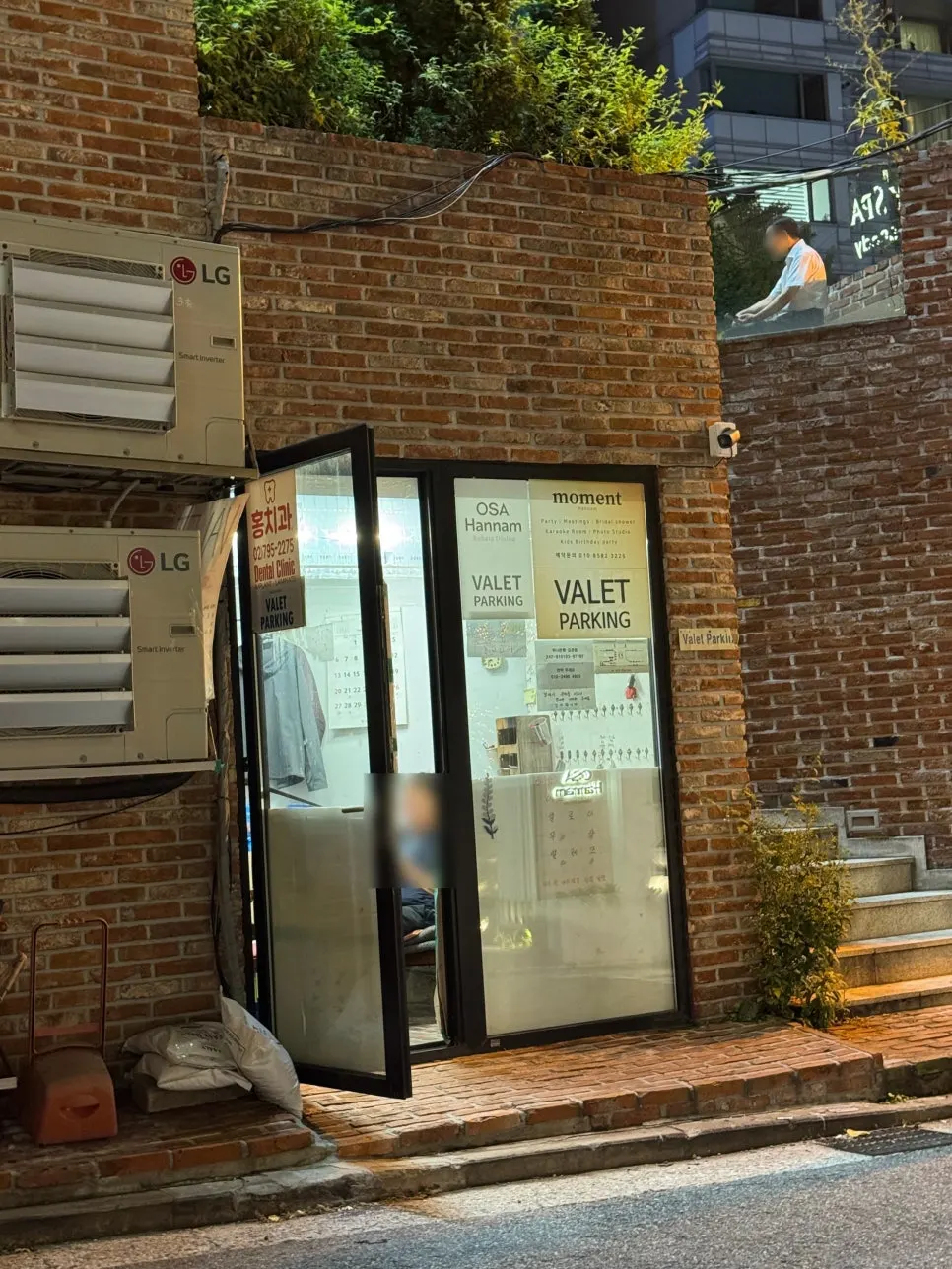전구로 감싼 오사 한남 입구의 큰 나무