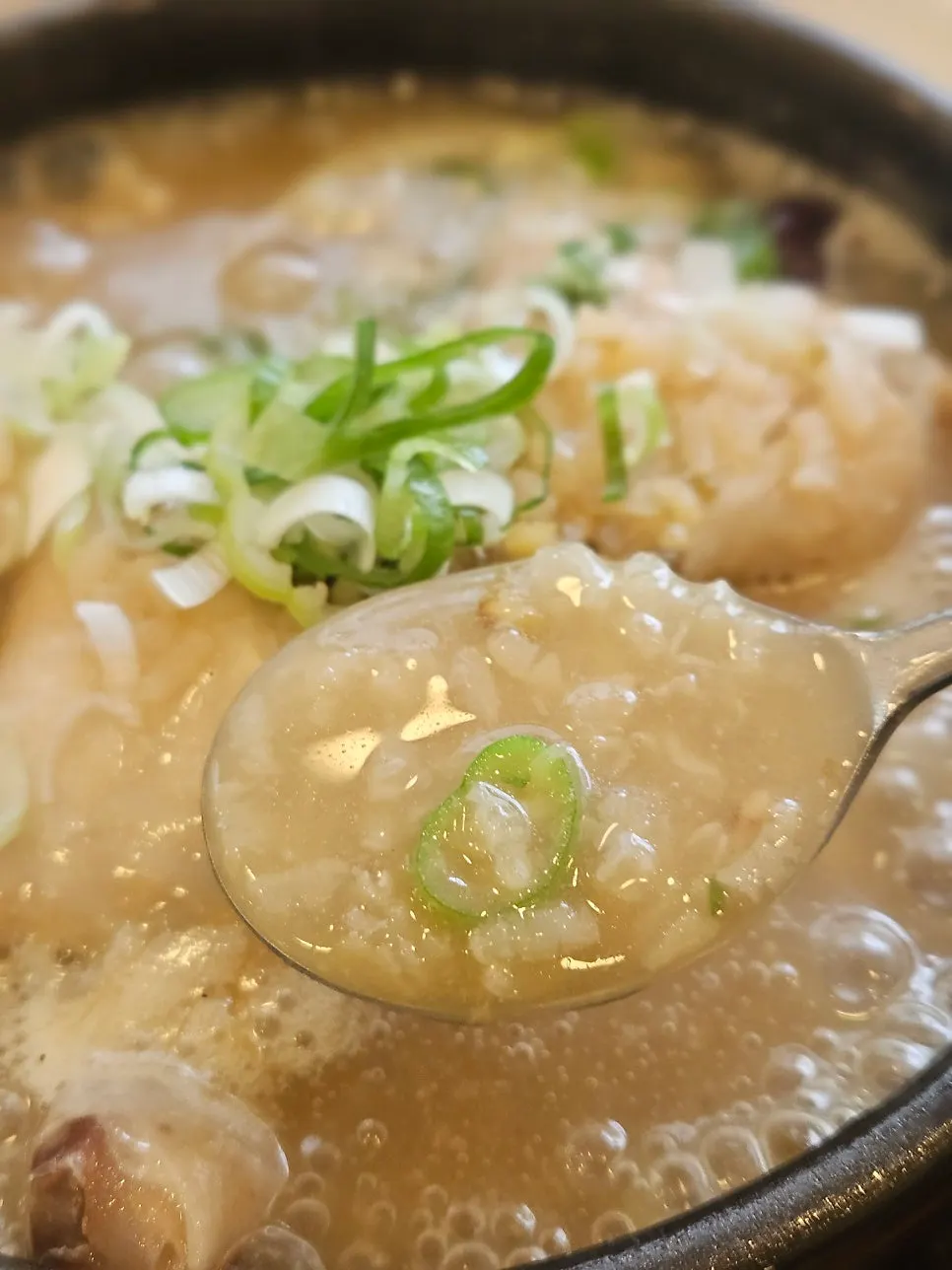 Close-up of the rich mung bean samgyetang broth