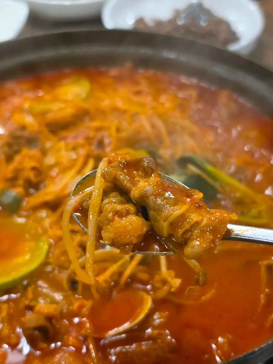 얇은 만두피의 찐만두