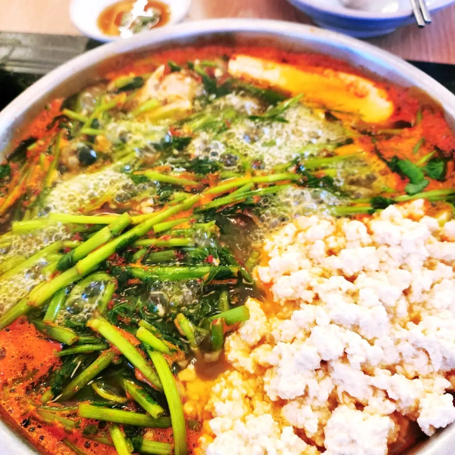 Yeolmu bibimbap mixed with wooden spoons