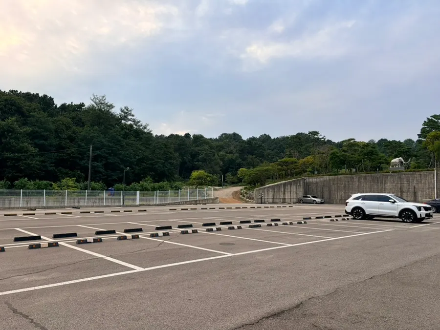 Spacious restaurant parking lot
