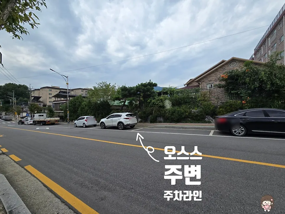 Marked parking spaces on the road around Oseuseu