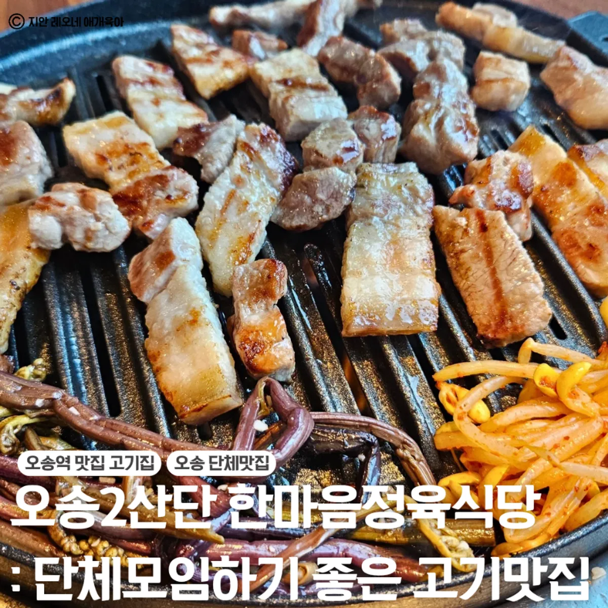 Signature shot of grilled aged meat at Hanmaeum Jeongyuk Sikdang Osong 2 Sandan Branch