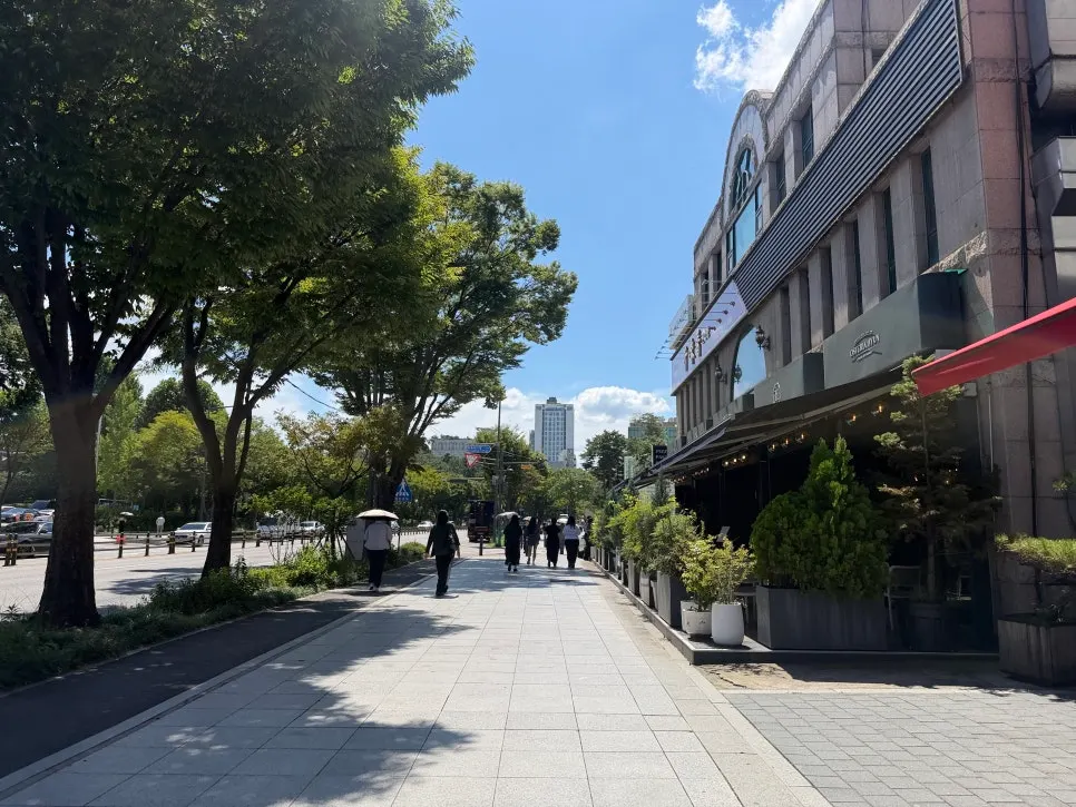 Scenery around Children’s Grand Park on my Osteria Hyeon visit