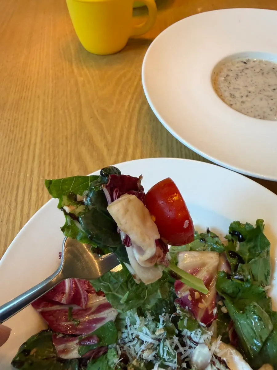Generous portion of garden salad