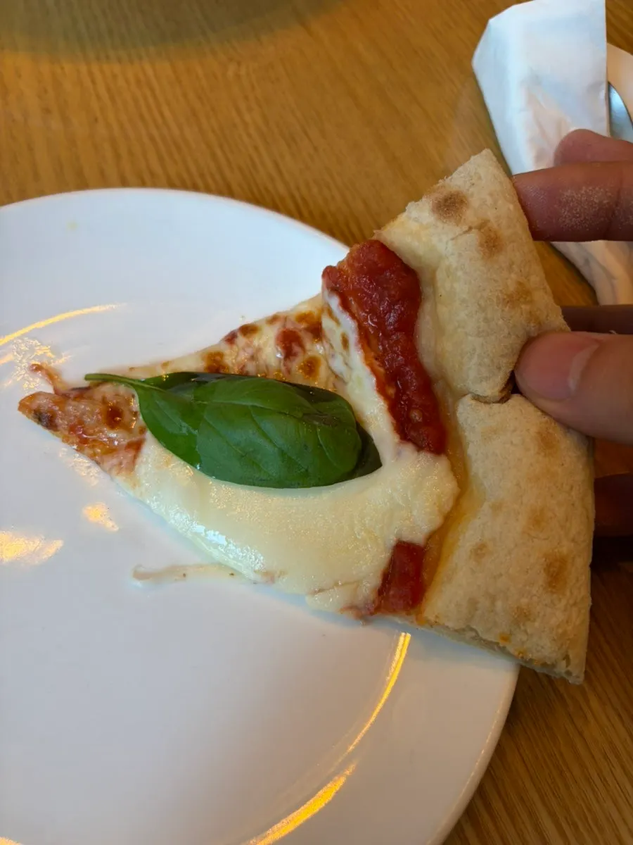 Wood-fired Margherita pizza topped with basil leaves