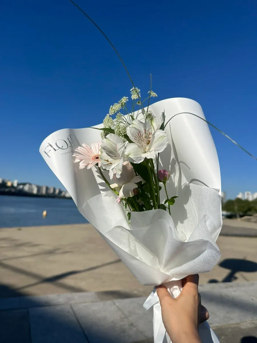 View of Han River Park on a clear day