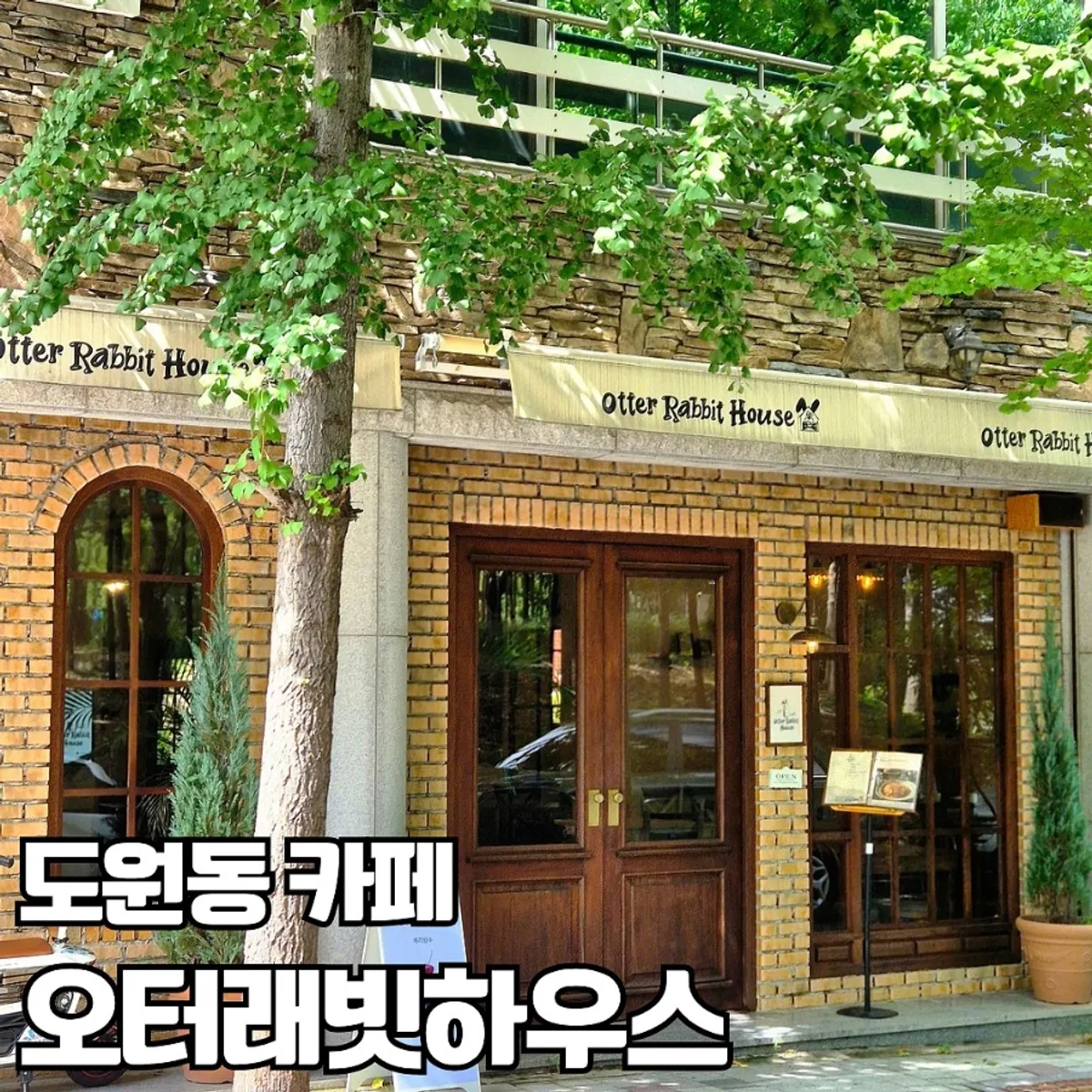 Main photo of Otter Rabbit House