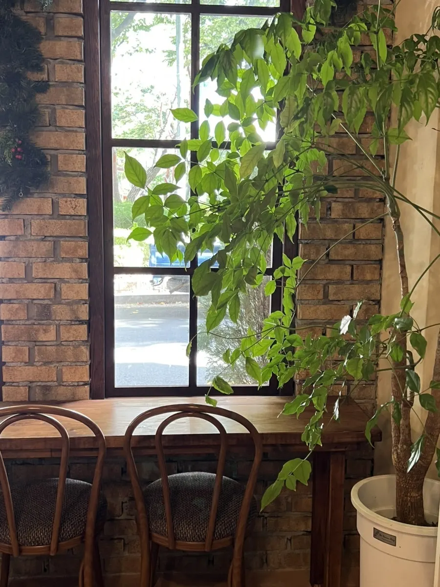 Café interior with wood furniture and brick walls