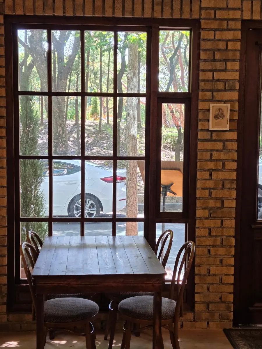Window seat with green trees visible outside