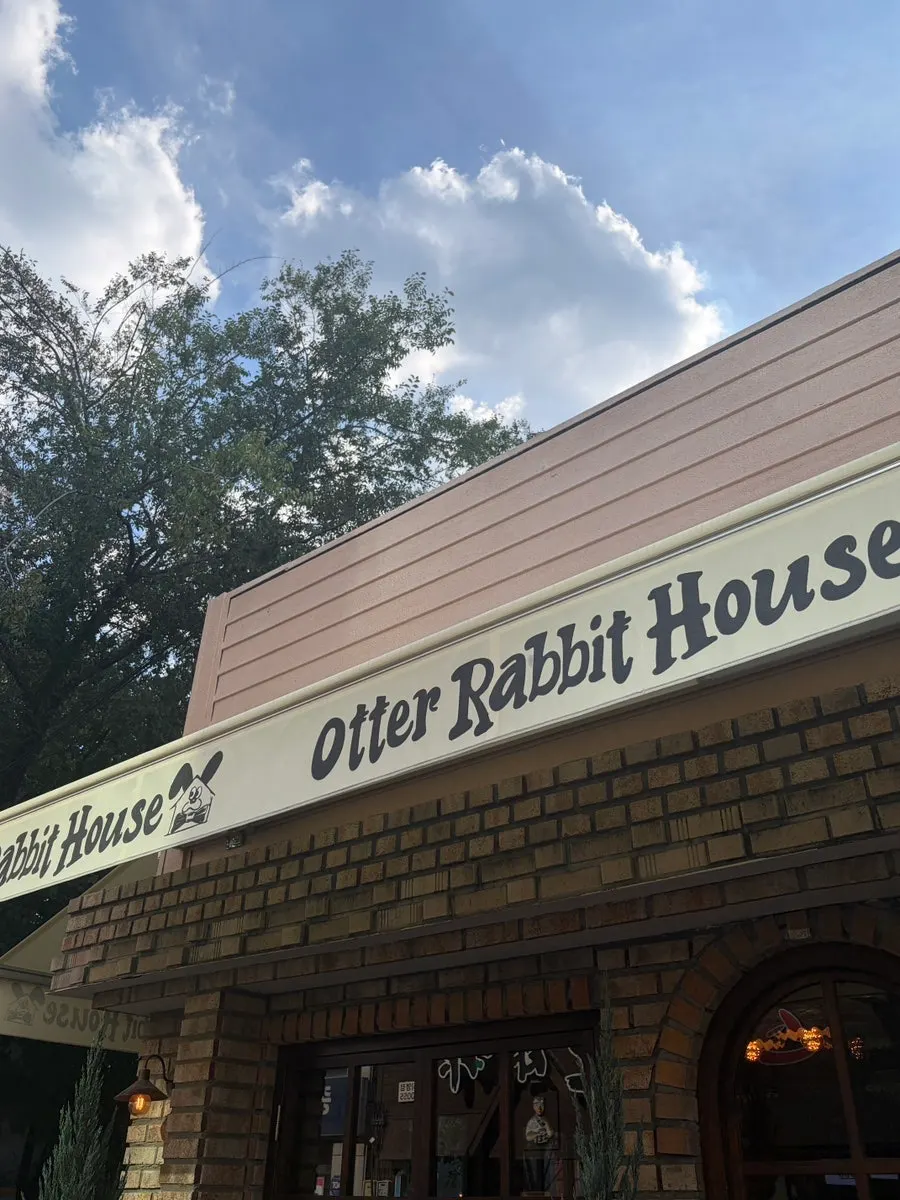 Final interior shot of Otter Rabbit House Jongno Branch
