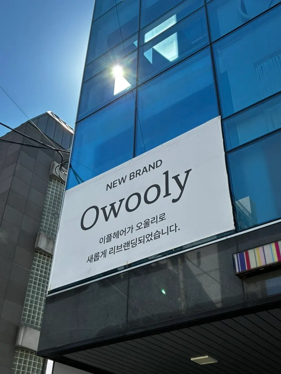 Entrance to Owlly Yeoksam Branch on the way up to the 2nd floor