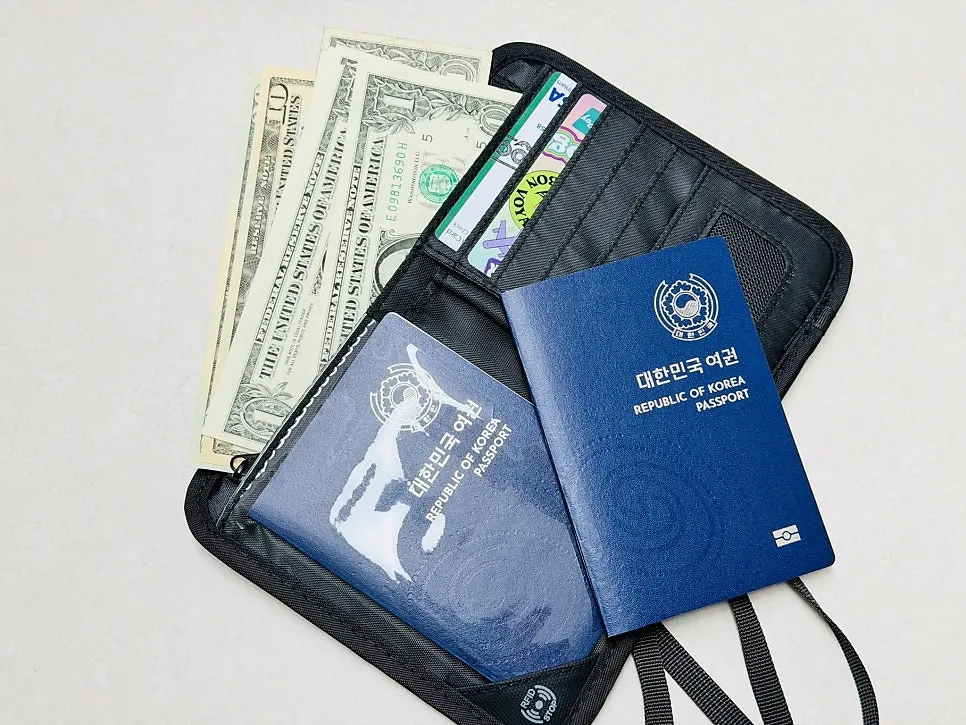 Passport wallet holding family passports, travel cards, and foreign cash