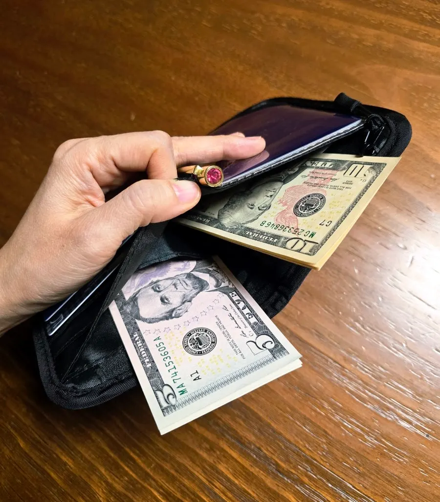 Cash divided into compartments in a travel wallet