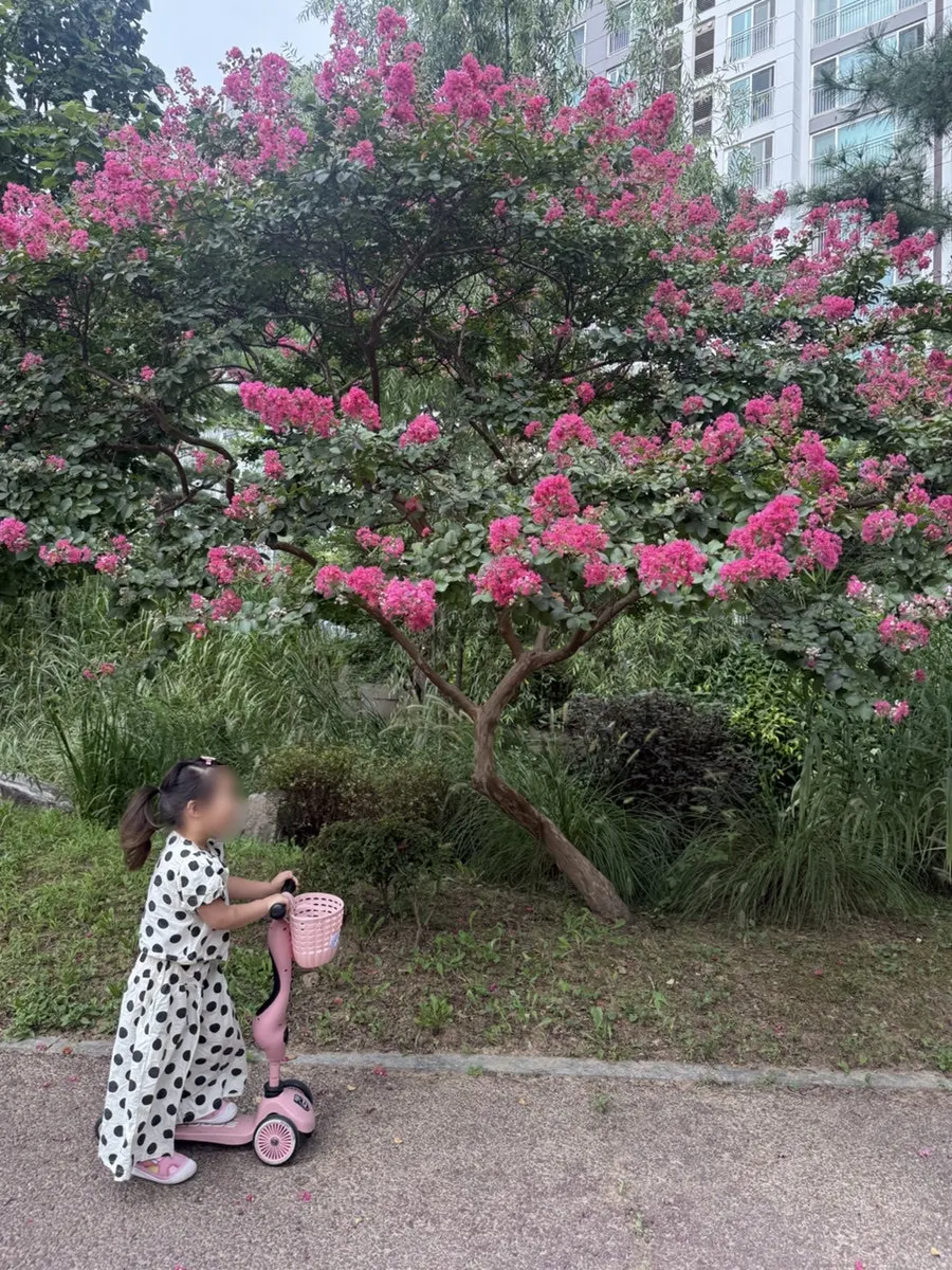 染める前の伸びた根元と髪