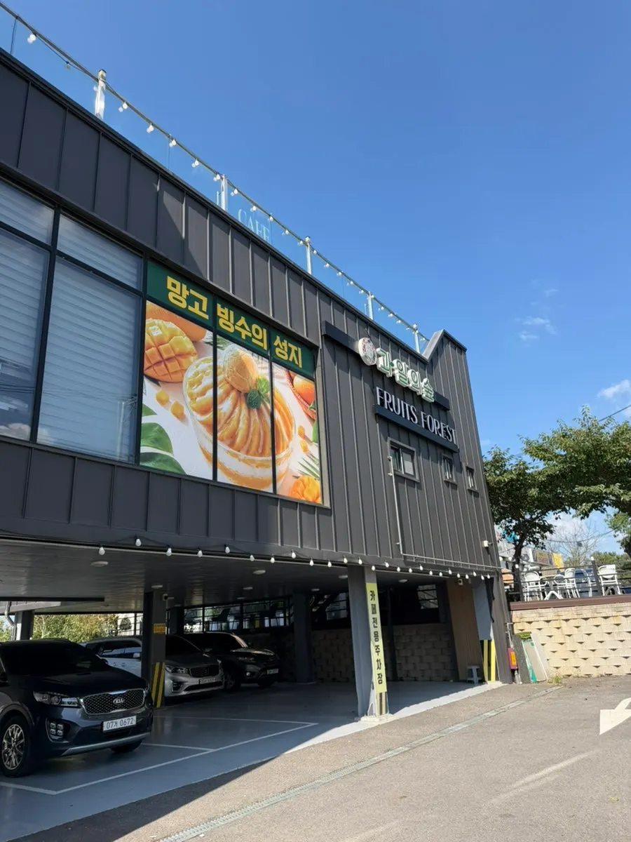 Fresh mangoes piled up at Fruit Forest Paju Direct Store
