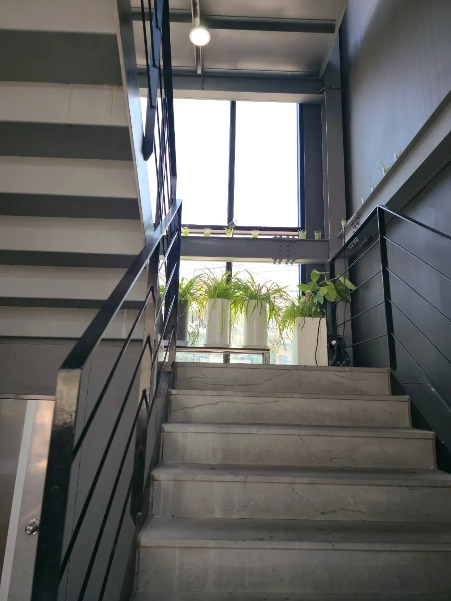 Stairs leading up to the 2nd floor café