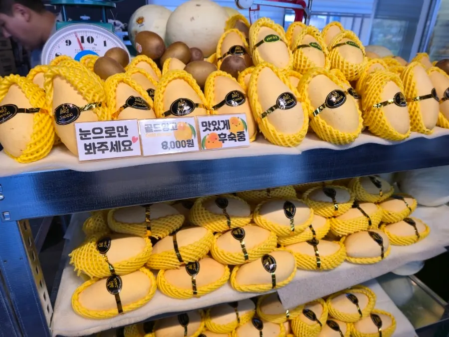 Store fridge packed full of mangoes