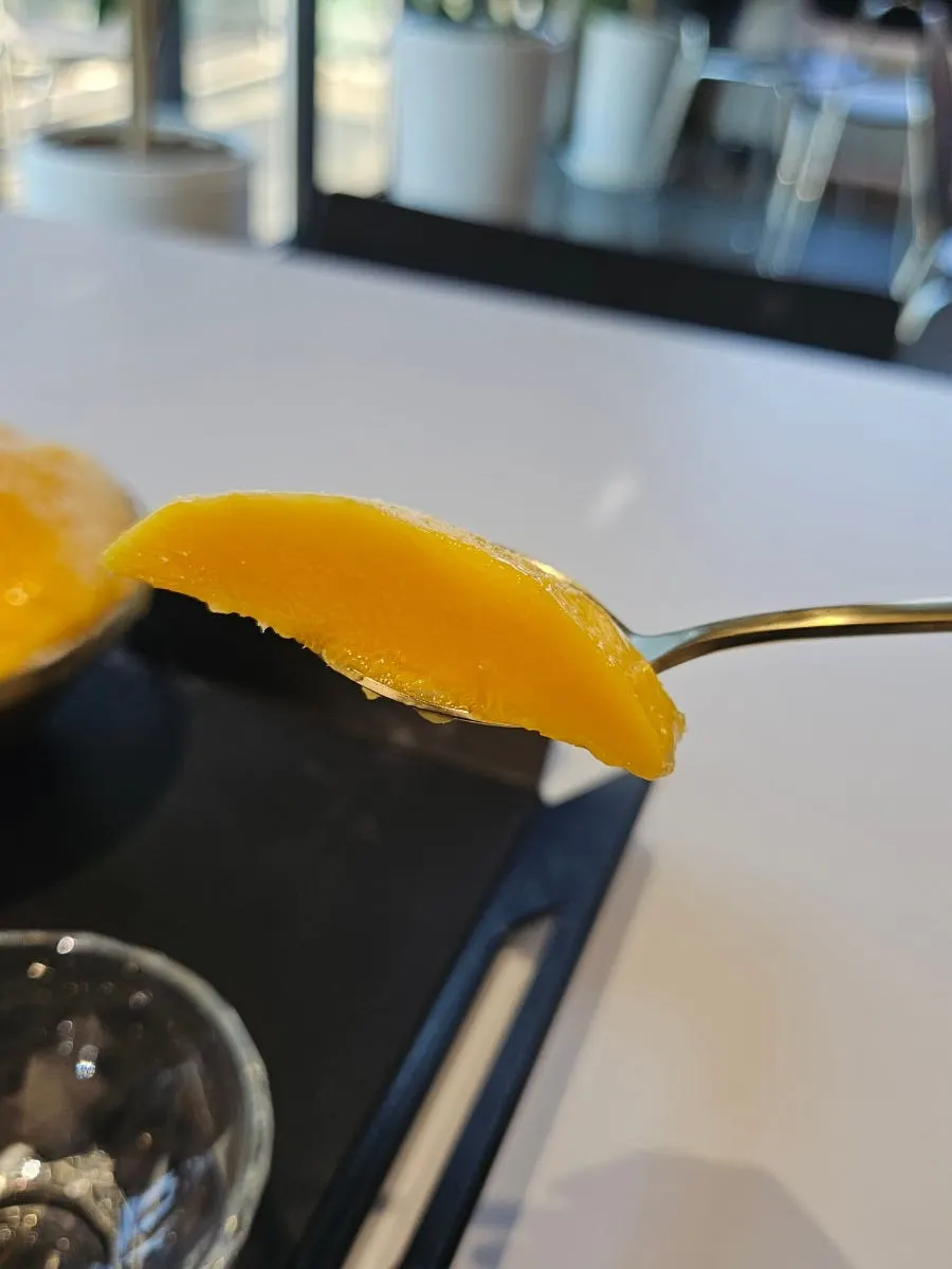 食べ終わりに近づいた生マンゴー雪花ビンス