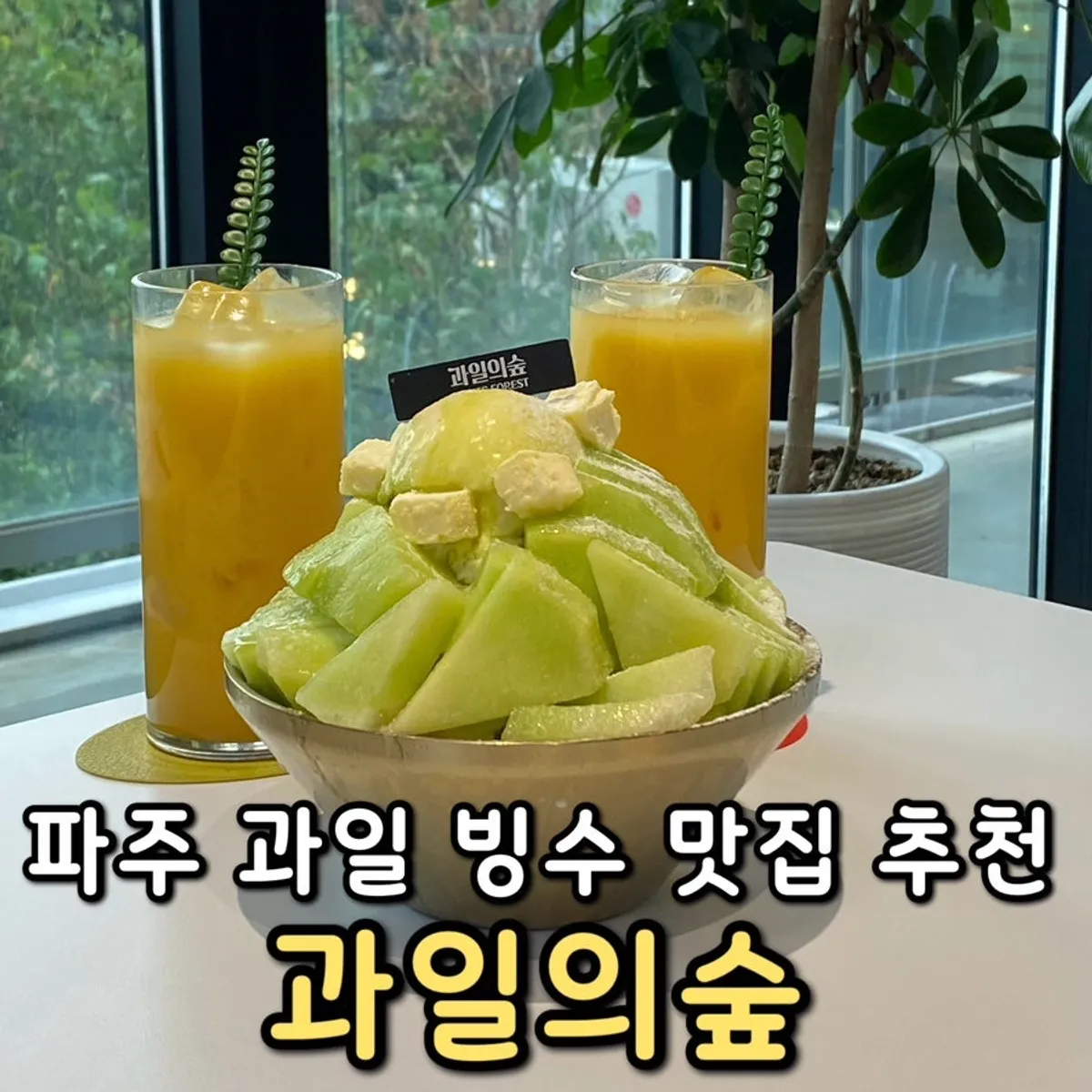 The melon snow bingsu bowl shared between two people