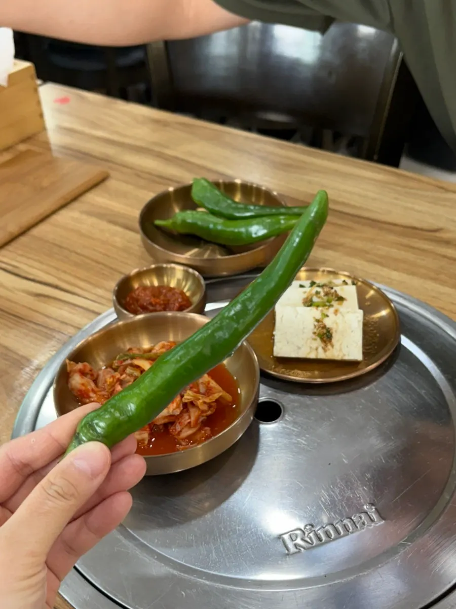 손으로 들어본 큼직한 생고추