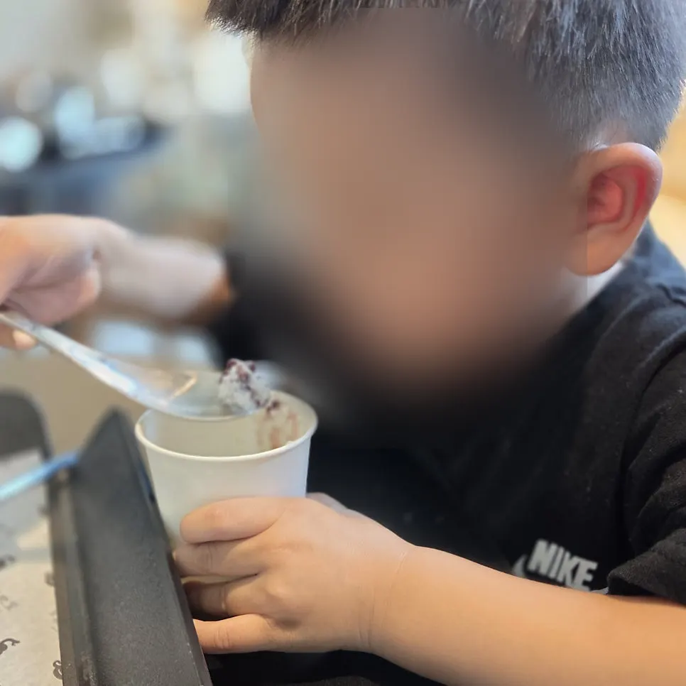 떡과 견과류가 듬뿍 올라간 팥빙수 윗면