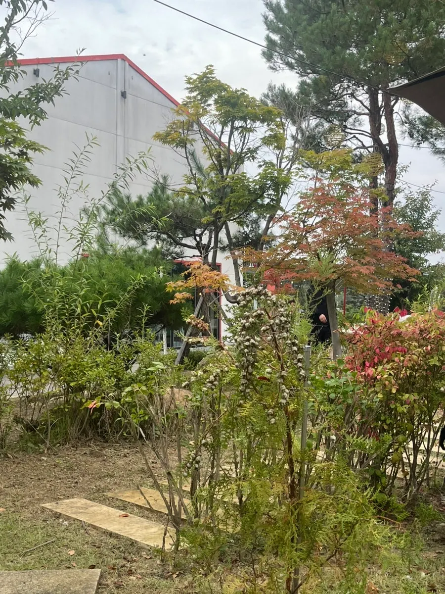 기차길 앞 감성 사진 찍는 온더레일 포토존