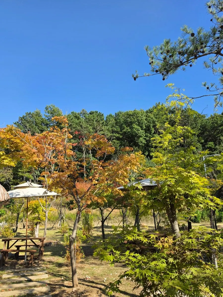 Outdoor view of On the Rail on a clear day