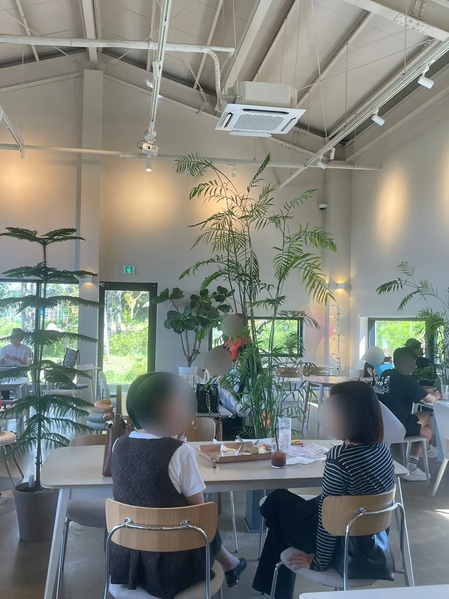 Indoor seating area with lots of green plants