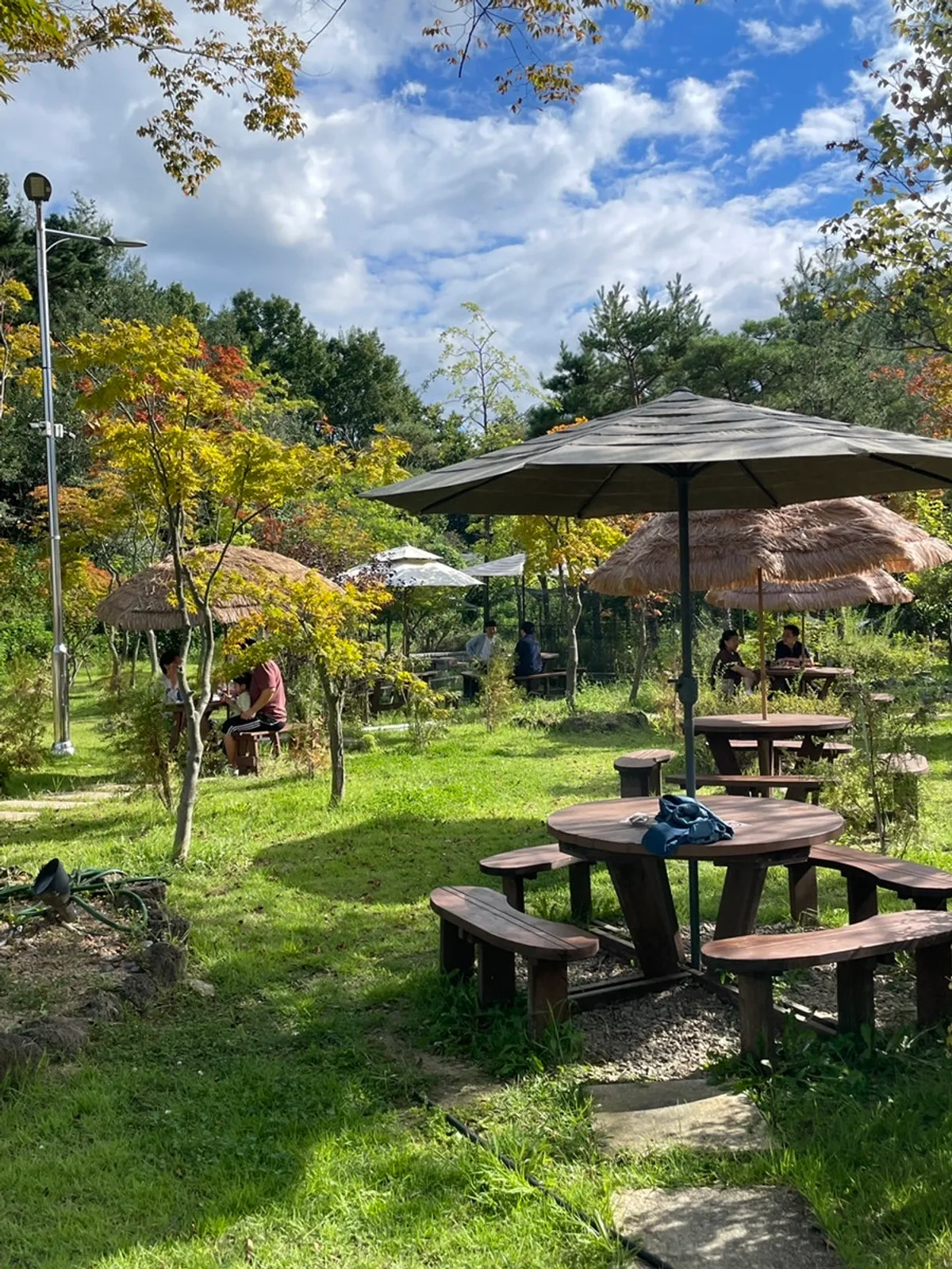 Outdoor garden at On the Rail with parasols