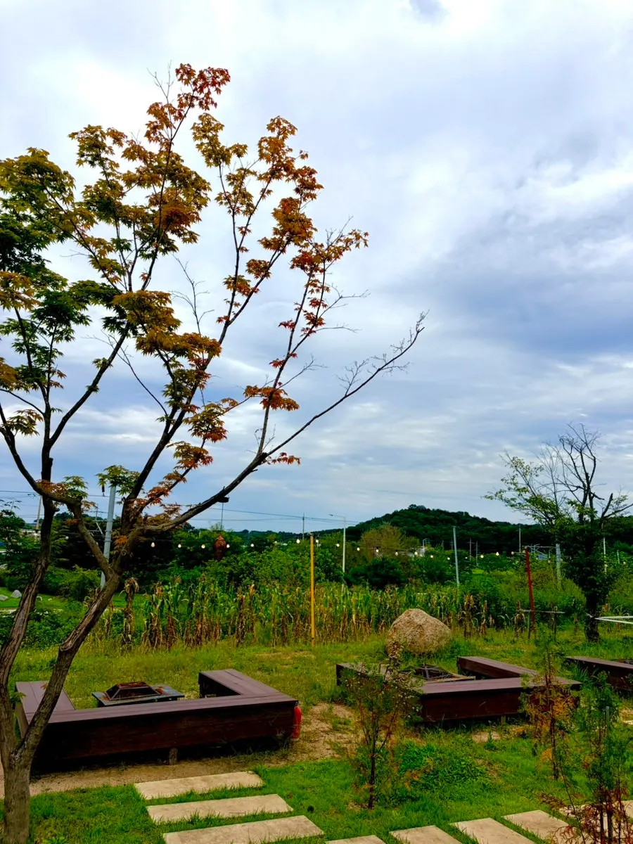 온더레일 베이커리와 창밖 풍경