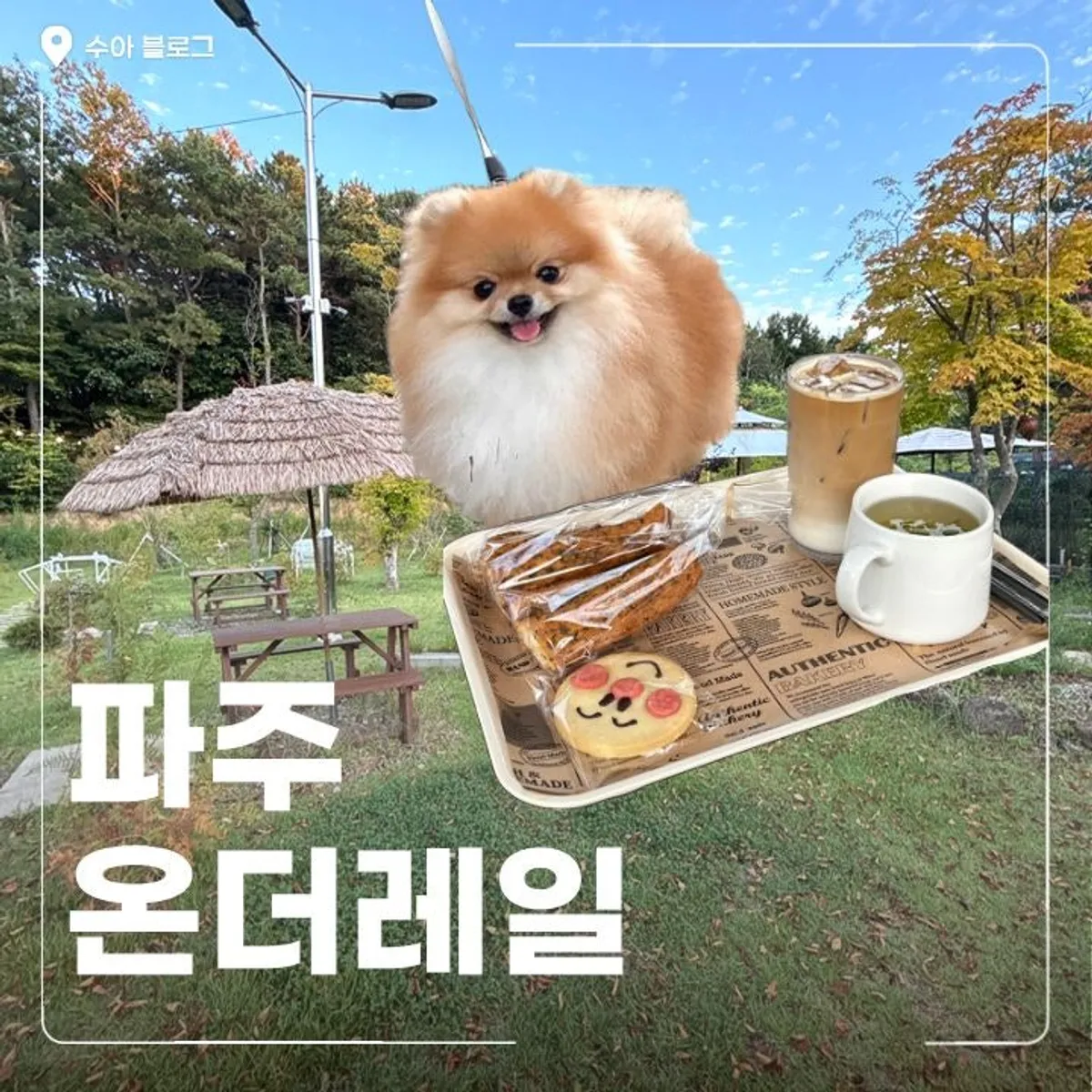 파주 문산 온더레일 카페 저녁 방문 모습