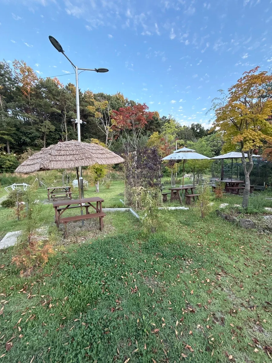 밤 조명이 켜진 온더레일 야외 철길 포토존