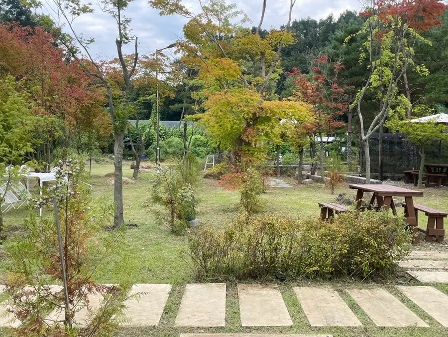 잔디 마당 산책 중인 강아지