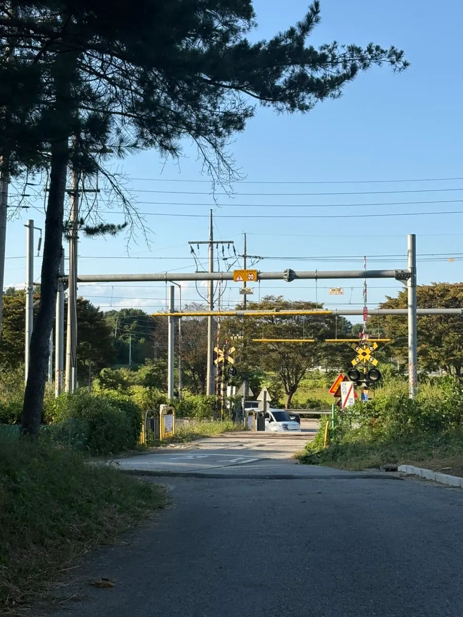 파주 문산 기찻길 카페 온더레일 외관
