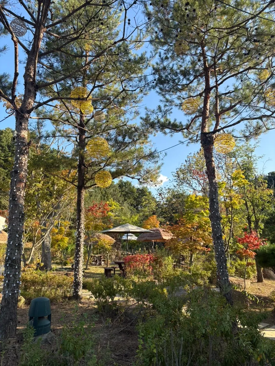 임진각 근처 온더레일 주변 산책길