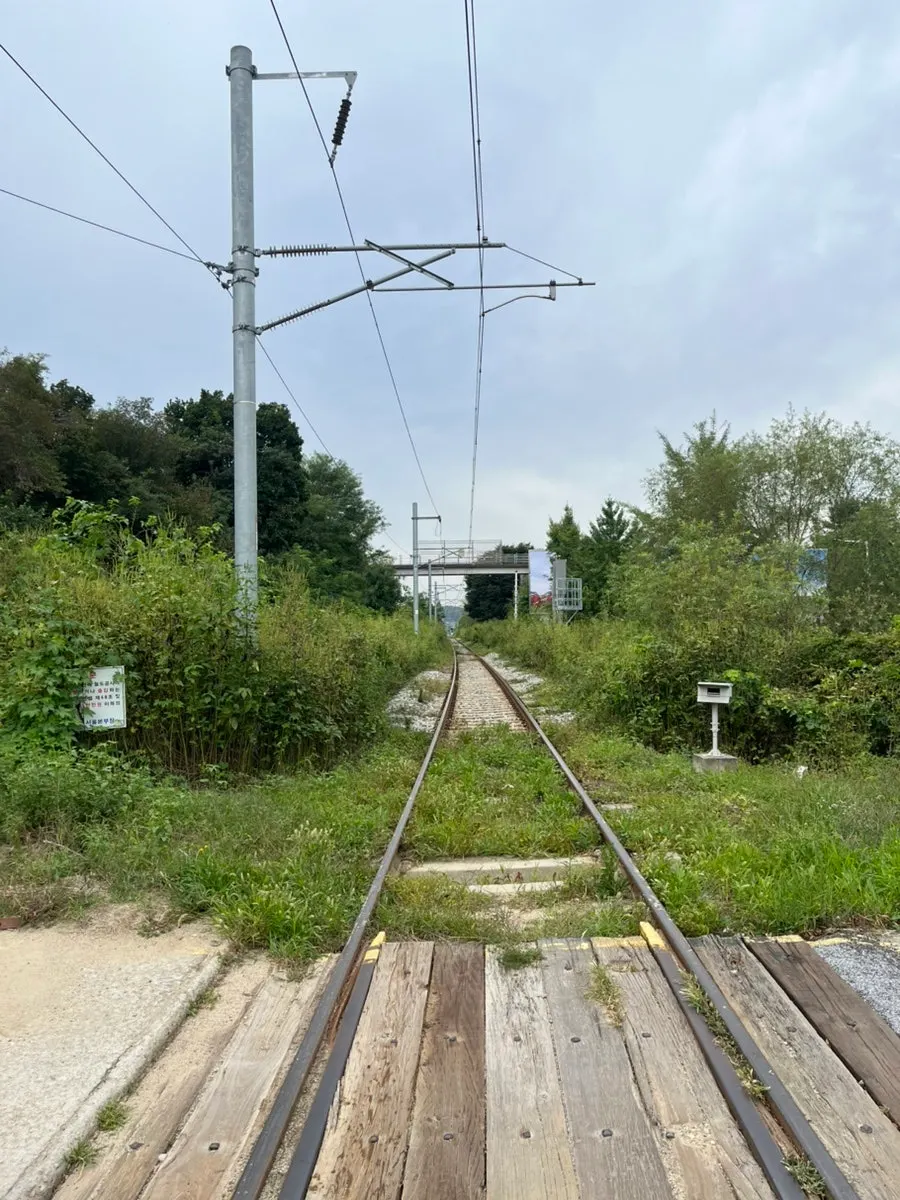 The actual railway running alongside the café