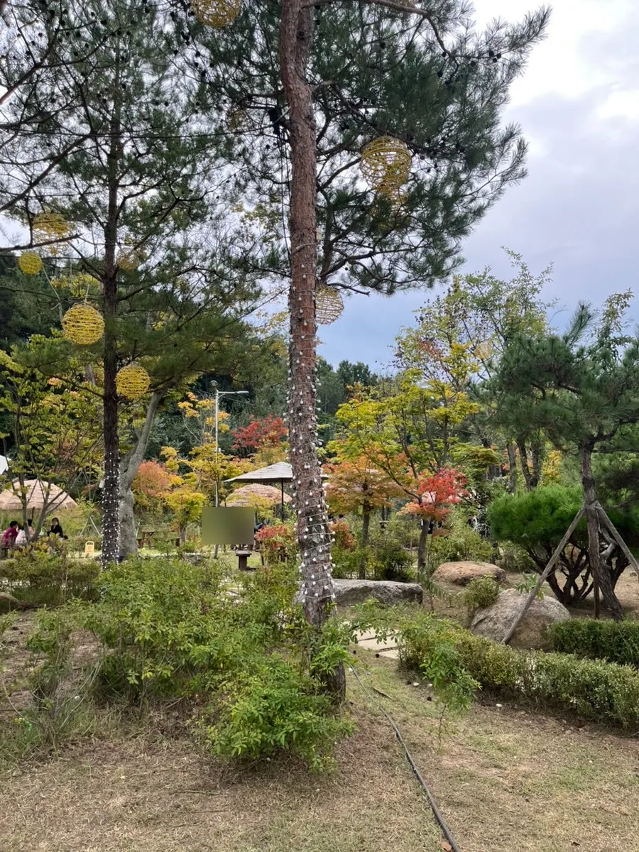Outdoor garden at On the Rail with grass and trees