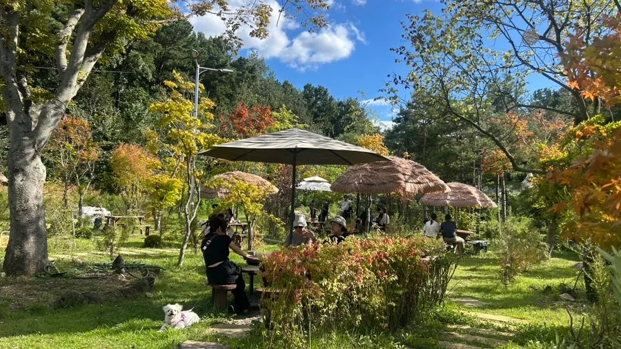 Ghibli-style photo zone built around the train tracks