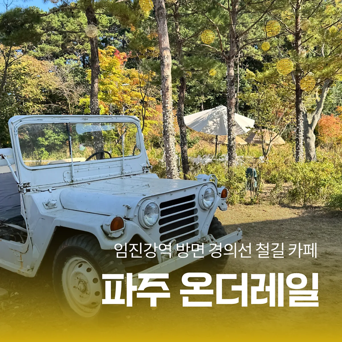 A cool autumn family outing scene in Paju