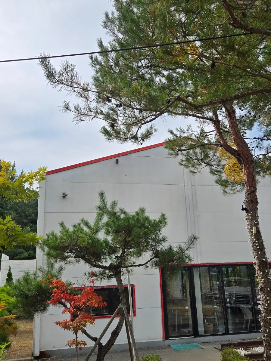 파주 문산 온더레일 카페 외부 전경