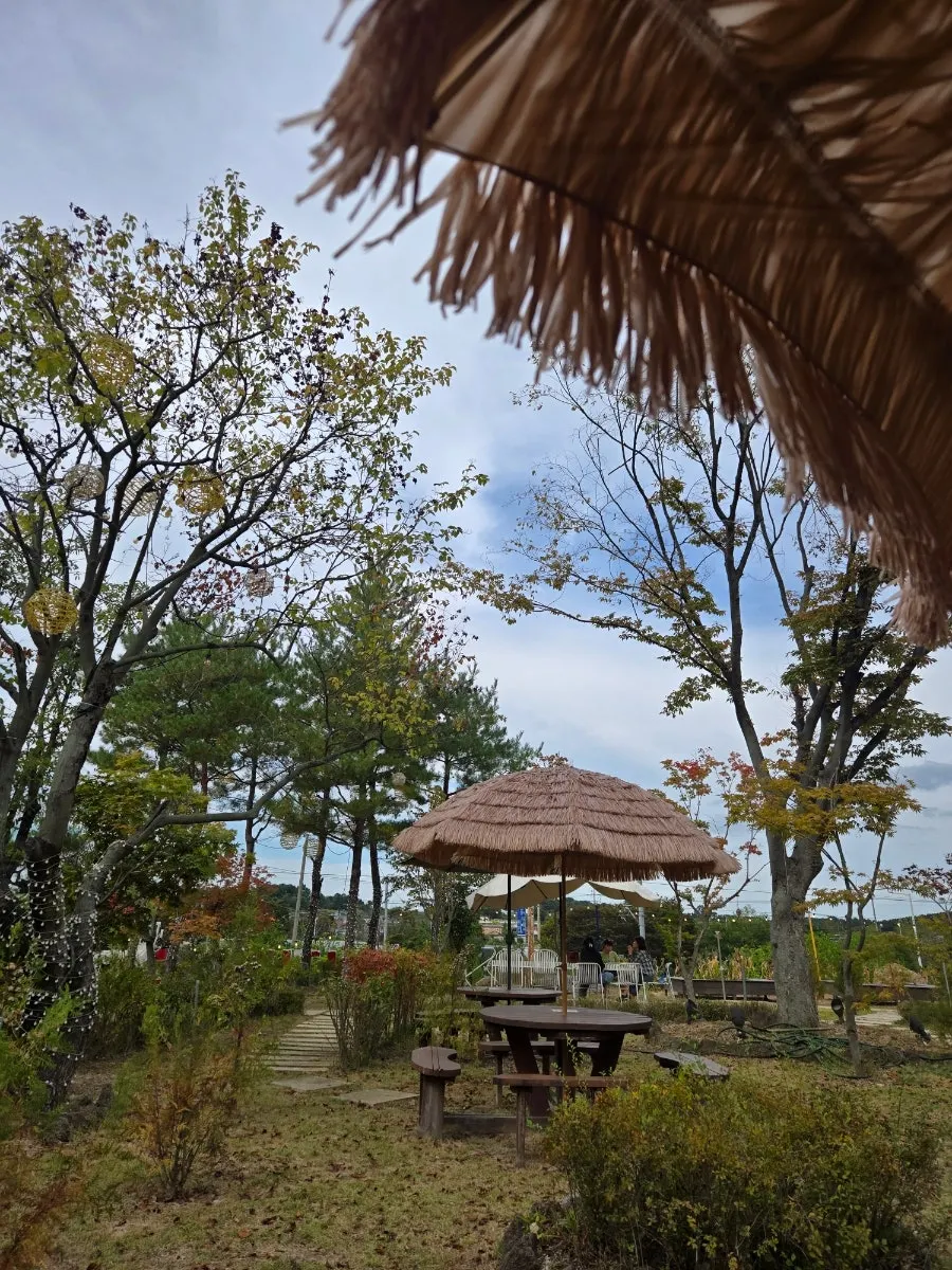 가을 하늘 아래 온더레일 야외 좌석