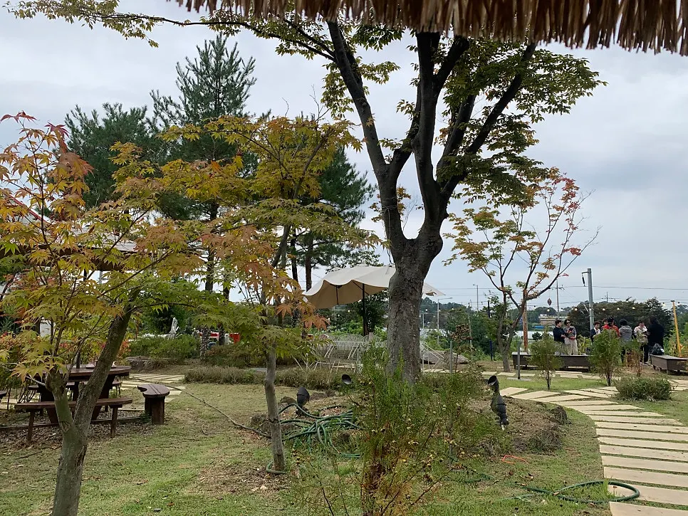 푸릇한 나무가 보이는 야외 풍경